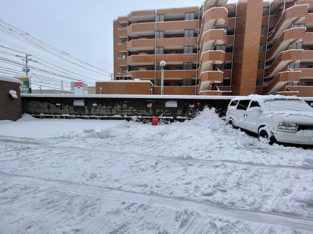 降りましたね...⛄️